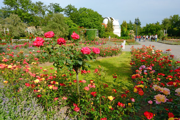 Cultivez un jardin odorant toute l’année.