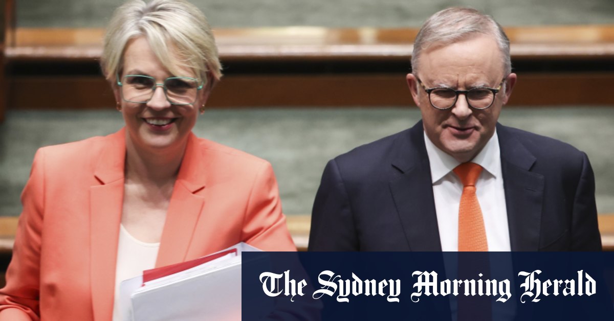 Anthony Albanese nie « absolument » toute rivalité avec Tanya Plibersek