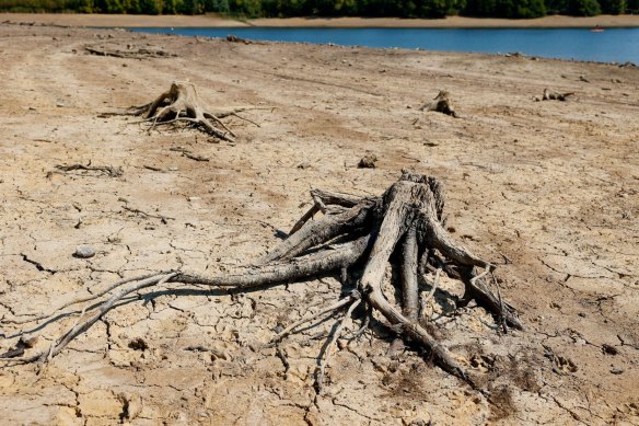 Le lit exposé du réservoir Ardingly lors d’une vague de chaleur en 2022 en Angleterre.