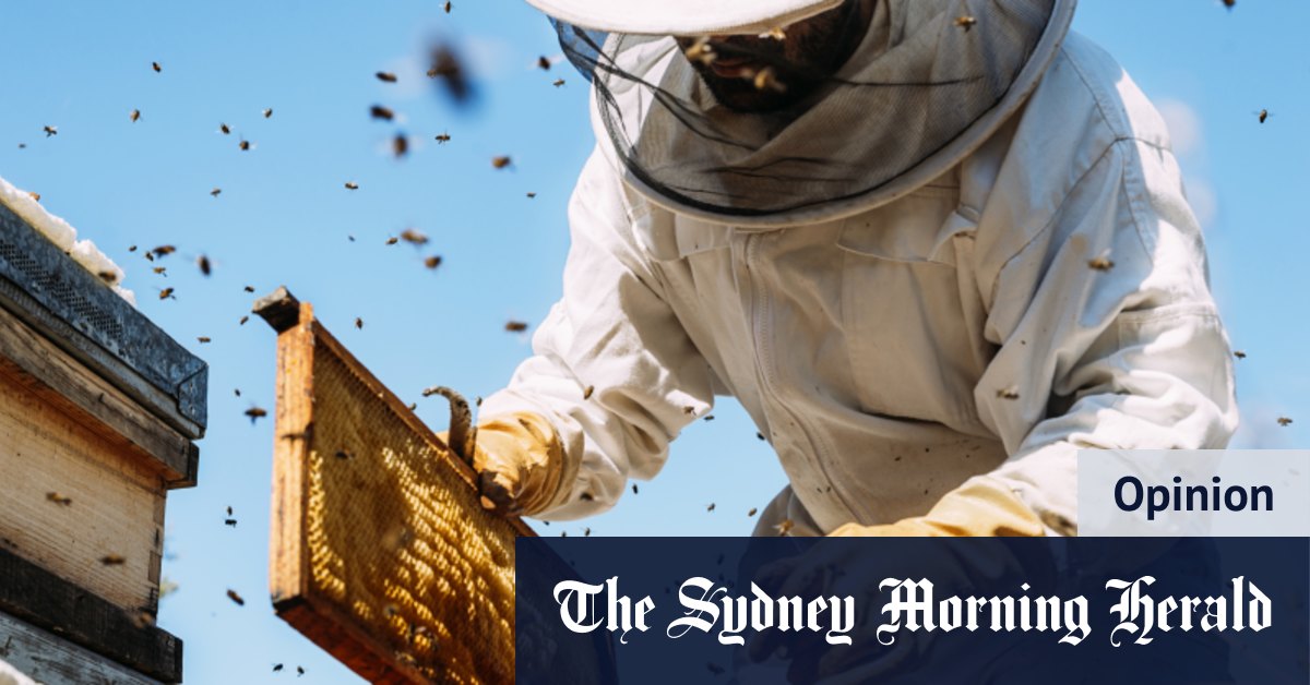 Pourquoi la tapisserie est la clé pour vivre une bonne vie