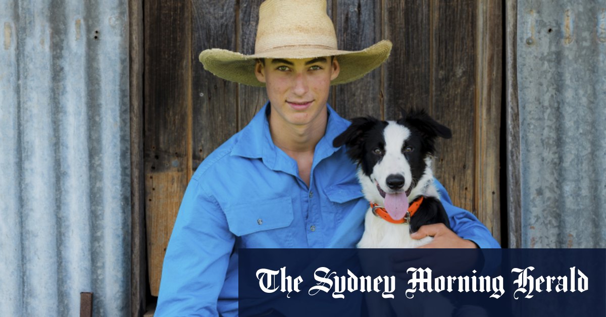 Pourquoi le concours Collies v Kelpies est comme Holden v Ford