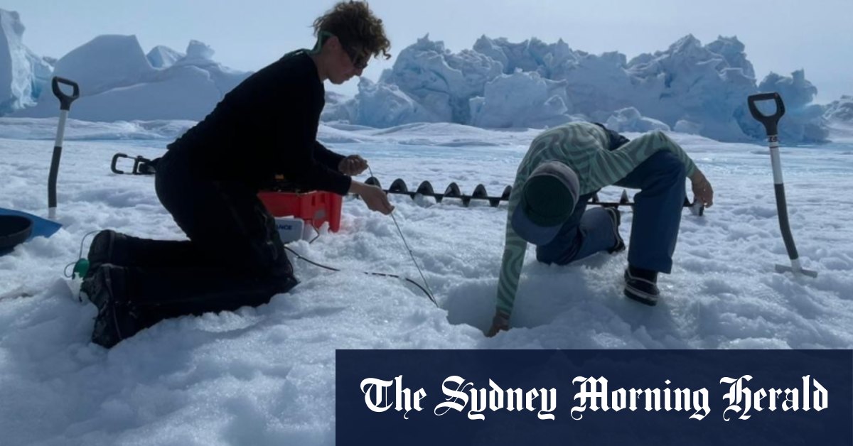 Des scientifiques australiens étudient la fonte du glacier Denman