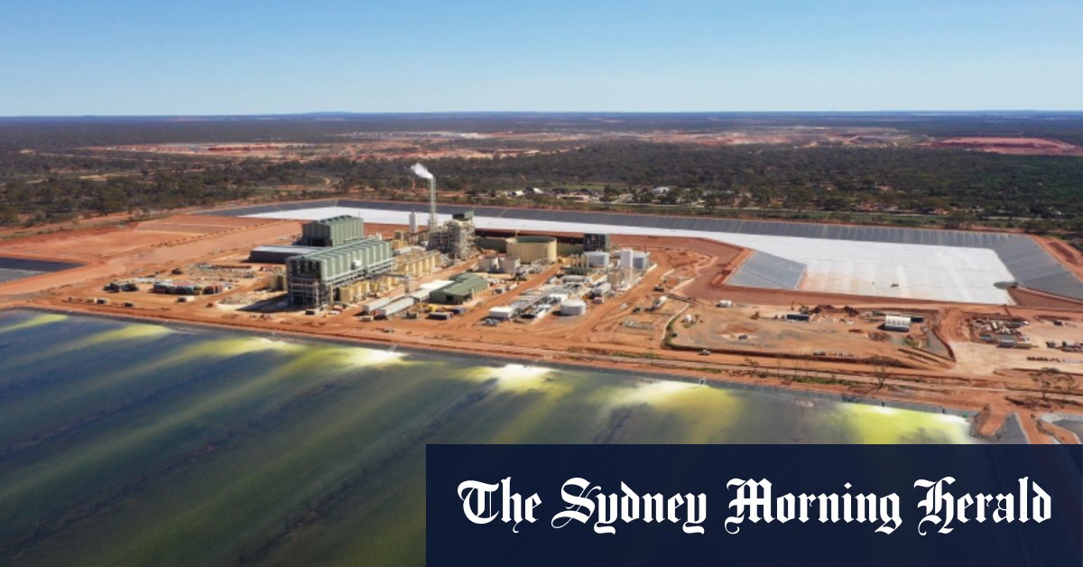 L'édulcorant L'Australie utilisera pour essayer d'esquiver les tarifs Trump