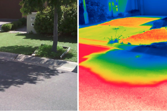 Les effets de l'ombre des arbres sur les températures de la surface de la route, vus par l'imagerie infrarouge.