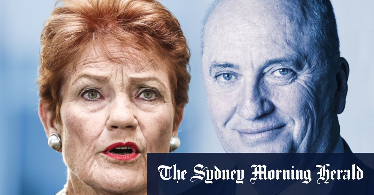 Pauline Hanson dit qu'elle a essayé de courtiser Barnaby Joyce pour une nation