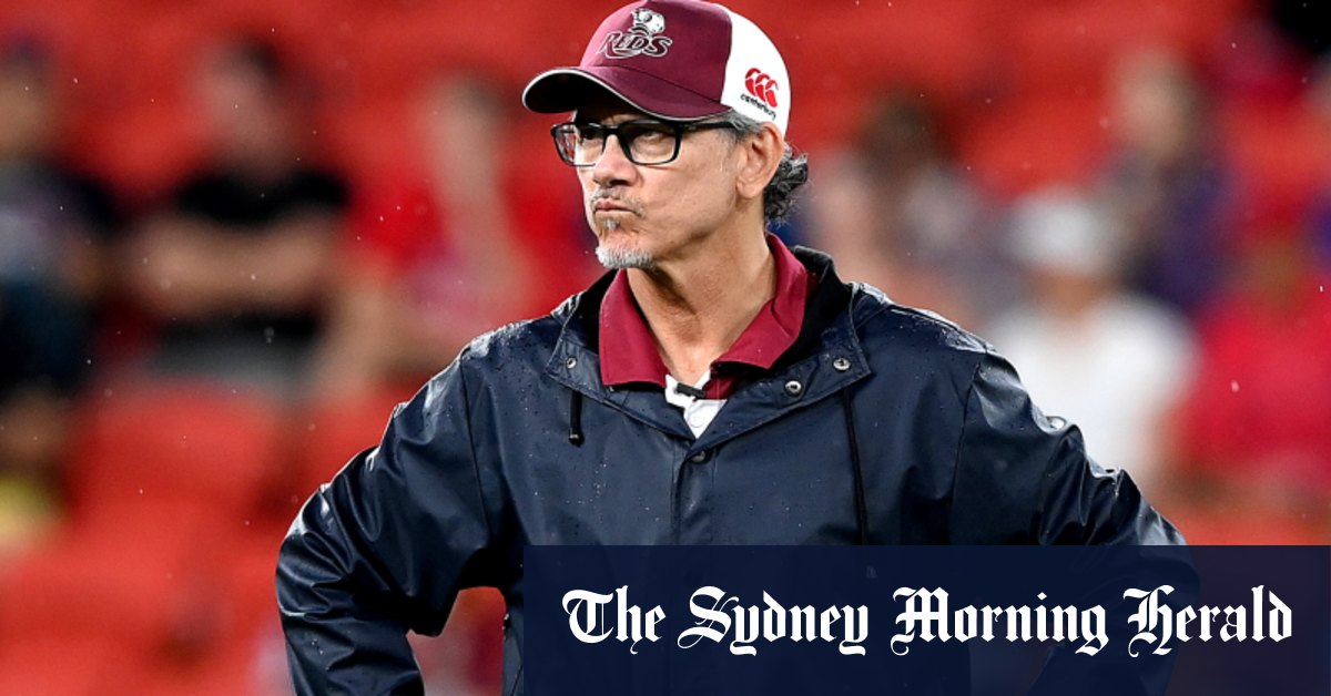 L'entraîneur des Reds du Queensland Les Kiss pèse sur les liens avec le rôle de Joe Schmidt