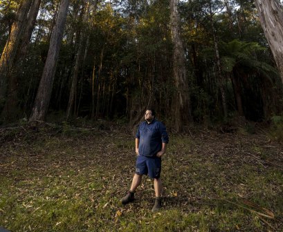 Jordan Crook de la Victorian National Parks Association affirme que les forêts de biodiverse de la région sont «incroyablement précieuses».