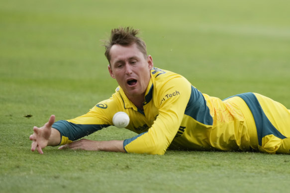 L'Australie Marnus Labuschagne laisse tomber Shubman Gill Catch de l'Inde.