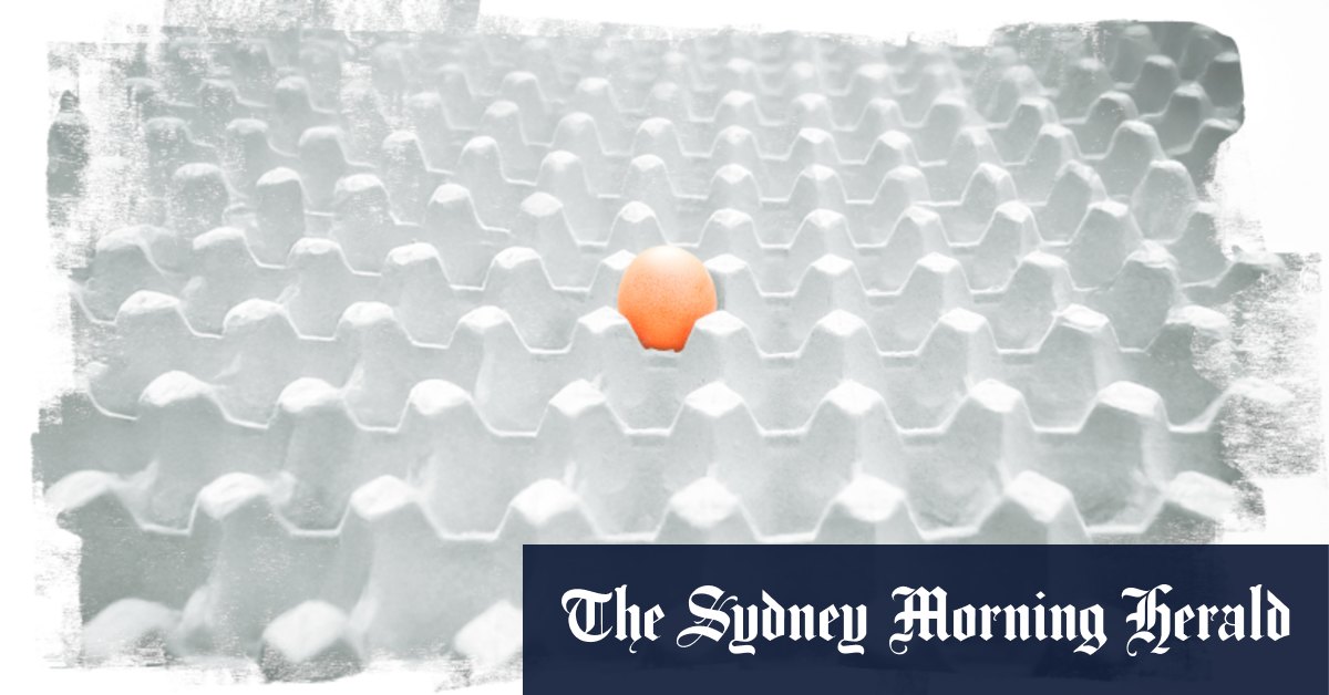Les acheteurs australiens se préparent à une pénurie de plusieurs années et à sauter des prix après les épidémies de grippe oiseaux