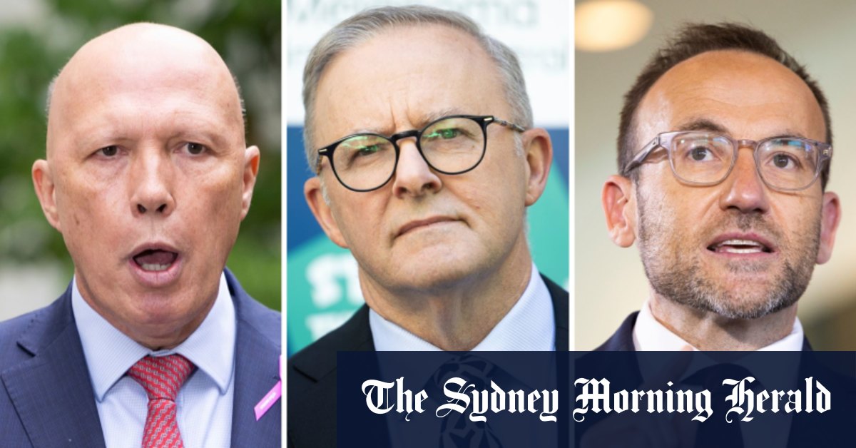 Greens propose d'aider les mesures clés de la main-d'œuvre «à l'origine de Dutton»