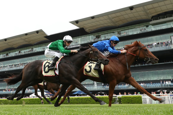 Tentted (Royal Blue) remporte les enjeux Reisling.