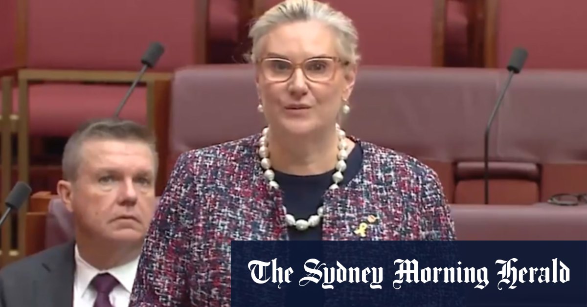 NDIS Funding Cuts invite Hollie Hughes's Tearful Speech sur le fils autiste