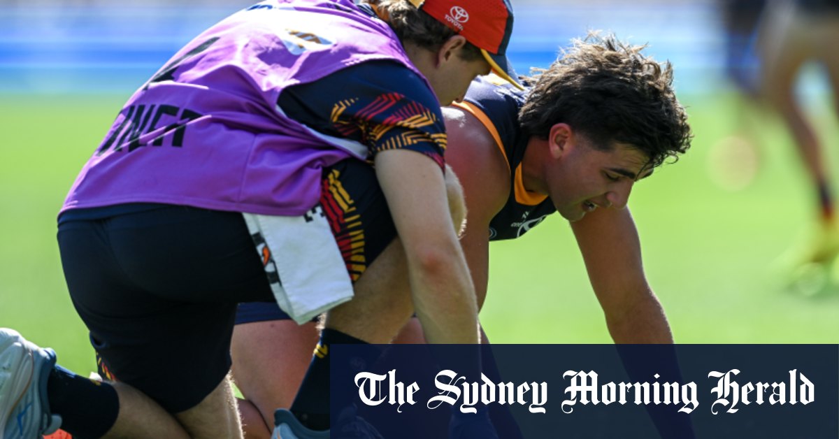 Josh Rachele d'Adelaide Crows a décollé après un coup de méchant en match contre North Melbourne Kangaroos