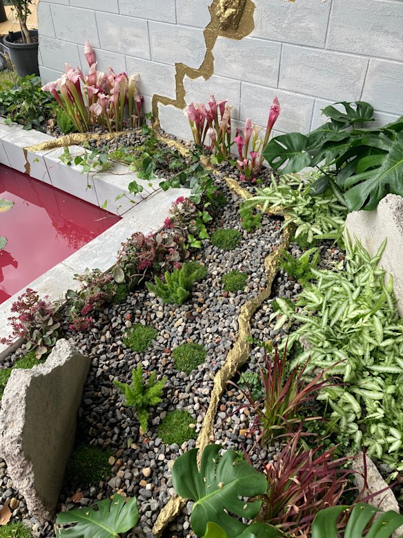 Une exploration de la façon dont les plantes peuvent guérir les terres contaminées dans cette exposition par Michael Rochelle, Carla Perry et Alistair Kirkpatrick.