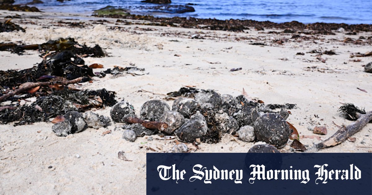 Sydney Euest à blâmer pour les balles de débris qui fermaient les plages