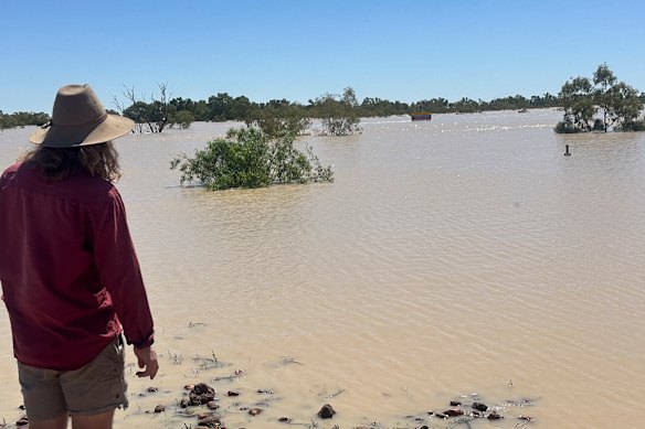 Sam Rigloa, membre du personnel de Wrightair, regardant la zone inondée de la gare Innaminka dans le nord-est de l'Australie du Sud