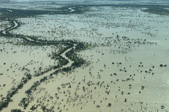 Coopers Creek, dans le nord-est de l'Australie du Sud, le 8 avril.