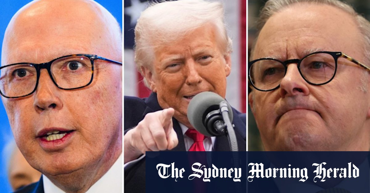 Albanese, Dutton a exhorté à donner une plus grande réponse aux tarifs de Trump