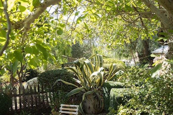 Le jardin est plein de différentes formes de feuilles et de formes