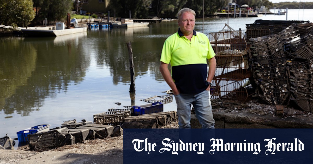 Les éleveurs d'huîtres de Shoalhaven fermés à cause du déversement des eaux usées
