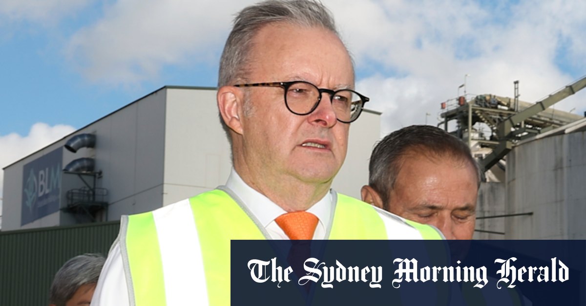 Le candidat du travail Dickson, Ali France, a défendu par Anthony Albanese sur Peter Dutton Tweet