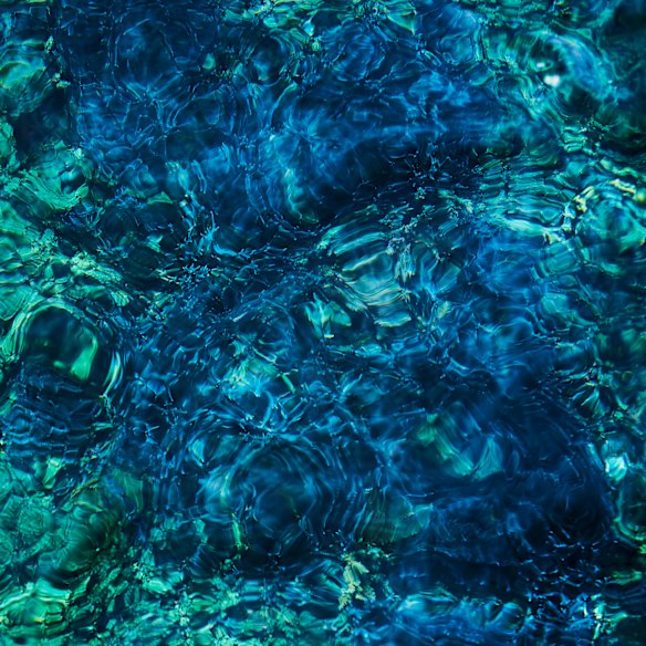 Les créatures luminescentes continuent les grandes paysages sonores d'orchestre d'Aoba.