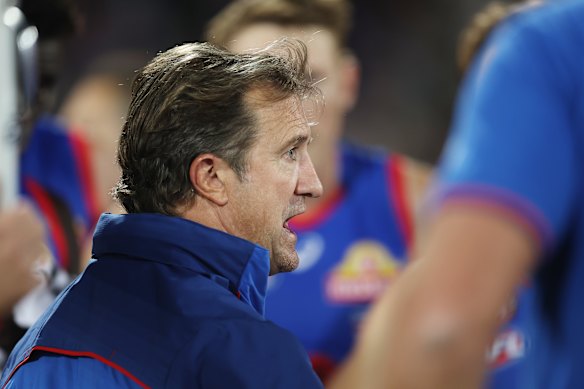 Luke Beveridge a négocié une série d'obstacles et de distractions pour diriger les chiens dans les huit premiers.