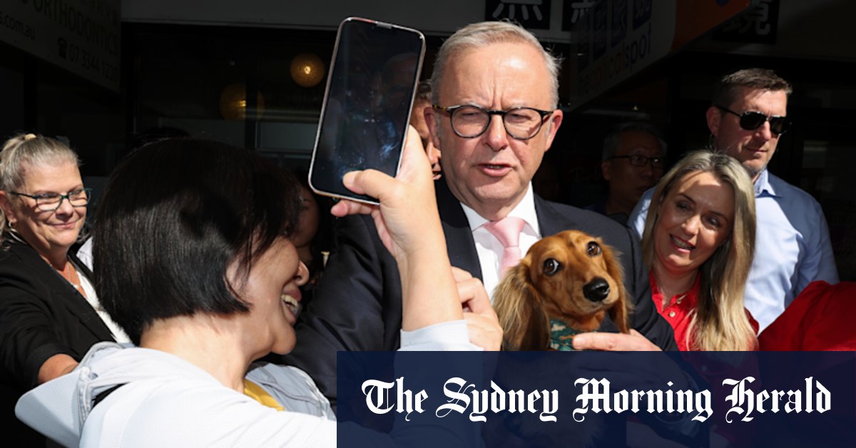 Trumpet des messages texte des Patriots critiqués par Anthony Albanese; ne s'engagera pas à interdire