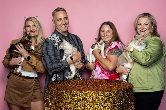 Messerve (tenant la neige sauvage de la vallée sauvage, une neige de poitrine tabby lynx de phoque) avec les propriétaires de chats Barbie Farrugia, à gauche, tenant son Brown Tabby Bengal, vendredi, Colleen Blair avec son Cornound Rex, Sage et Meredith White avec son pli écossais, Damewood Octavia.