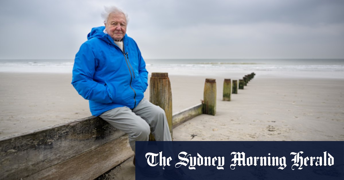 David Attenborough publie un nouveau documentaire sur l'océan le 99e anniversaire