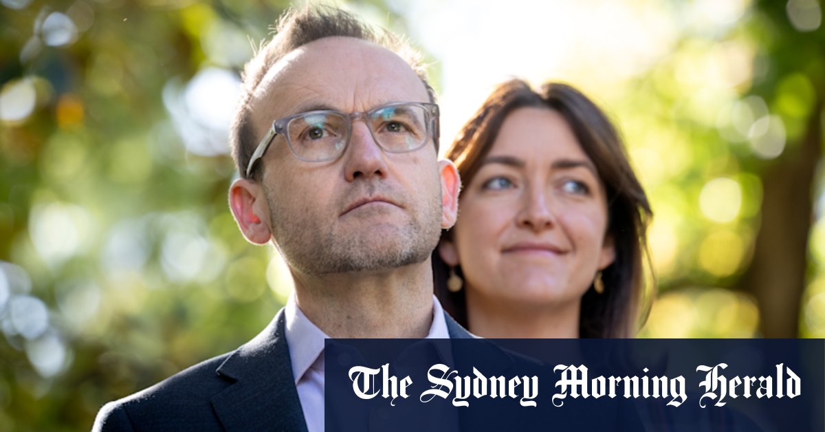 Le leader des Verts Adam Bandt perd un siège de Melbourne