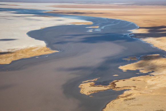 L'inondation de cette année de Kati Thanda-Lake Eyre devrait être l'une des plus grandes en depuis des décennies.