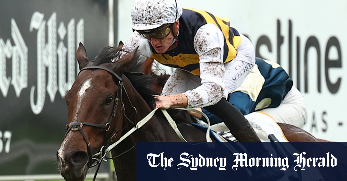 Hezashocka prêt à défendre la Gosford Gold Cup, disons Jockey Chad Schofield et l'entraîneur Mick Price