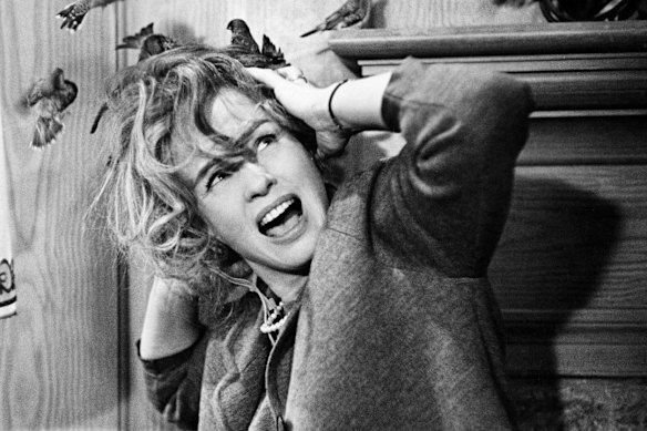 Tippi Hedren dans les oiseaux d'Alfred Hitchcock.