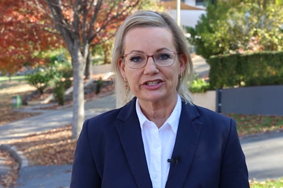 Sussan Ley dans un immobile de son argument de leadership vidéo.