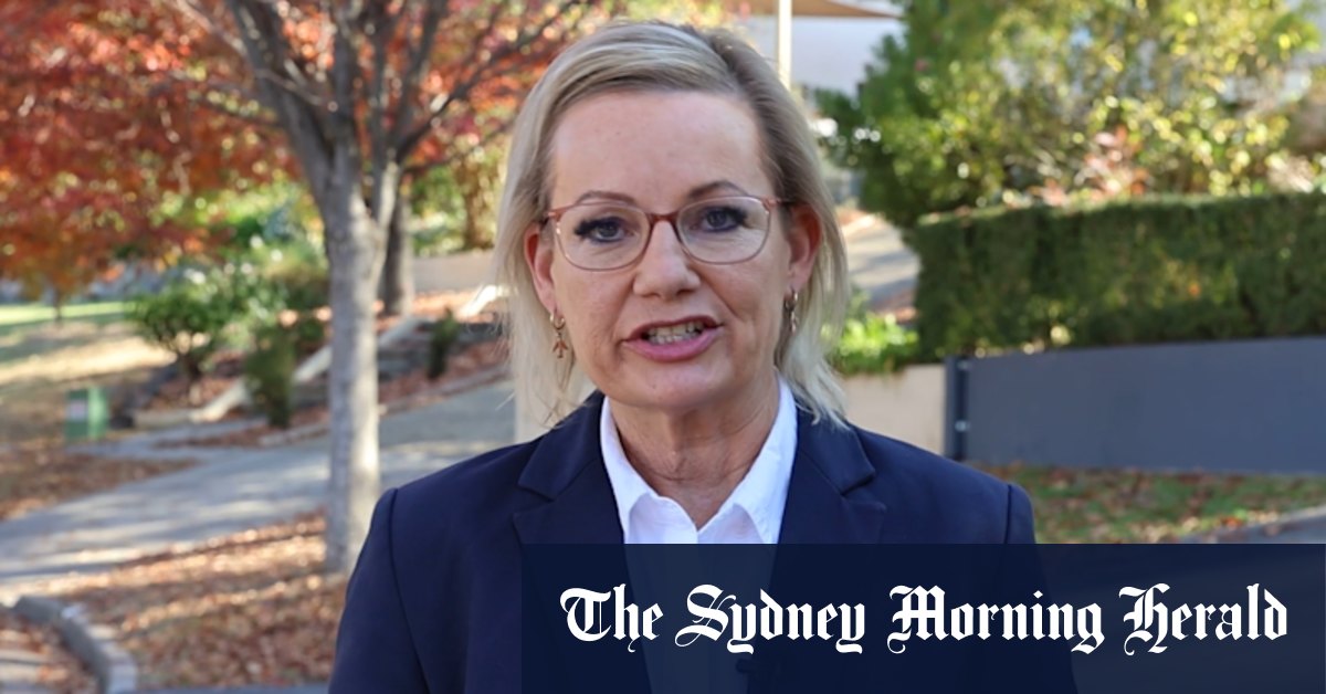 Sussan Ley publie un argument vidéo alors que la sénatrice Claire Chandler soutient le rival de Ley, Angus Taylor