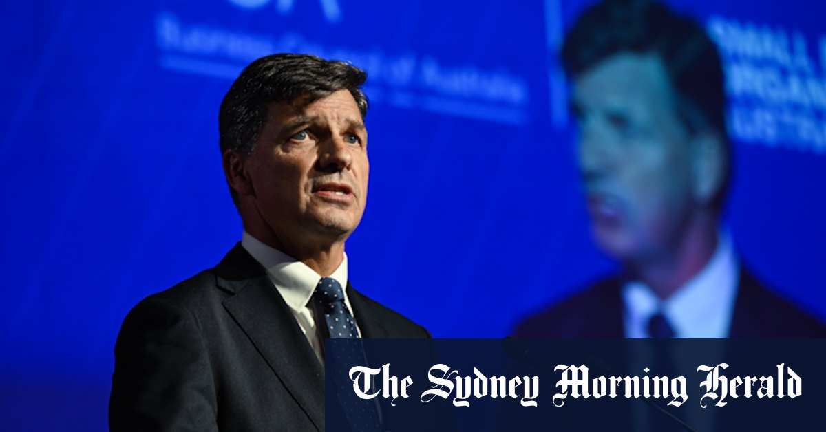 Qui sont Angus Taylor, Sussan Ley et Tim Wilson? Les membres du parti se battent pour remplacer Peter Dutton