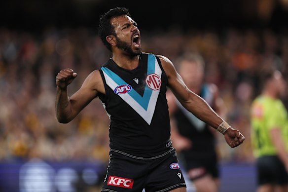 De retour dans le giron: Willie Rioli est susceptible de faire face aux chats ce week-end.
