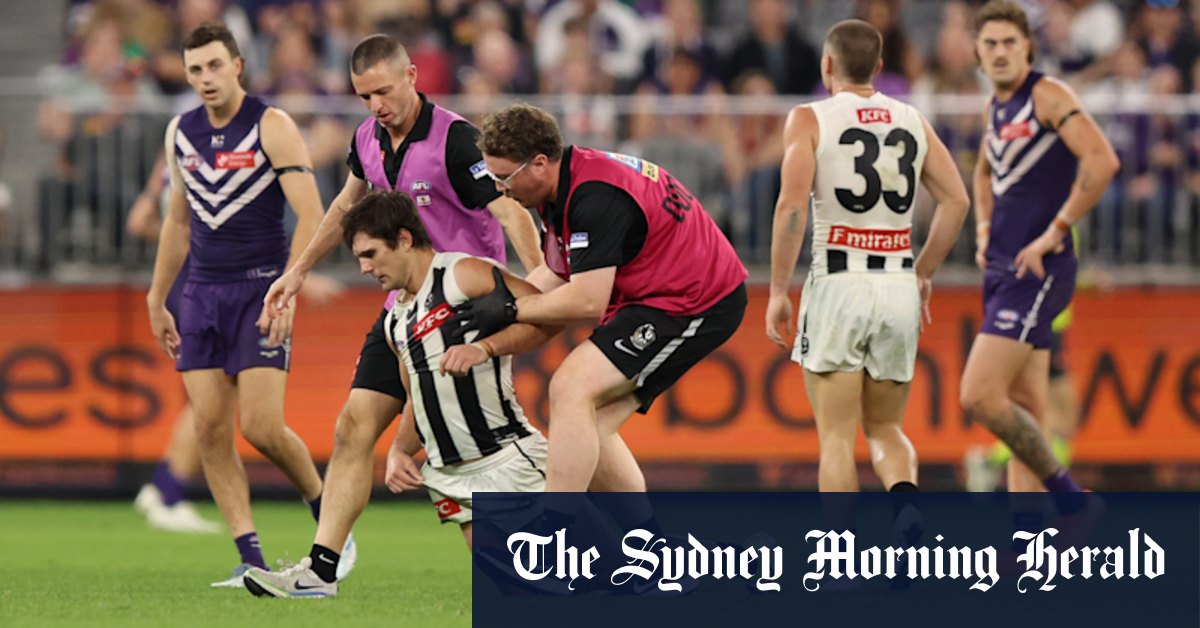 Les arbitres ont induit en erreur AFL pour ne pas avoir arrêté de jouer sur Lachie Schultz Clash; Collingwood Magpies; Fremantle Dockers; Agent d'examen des matchs