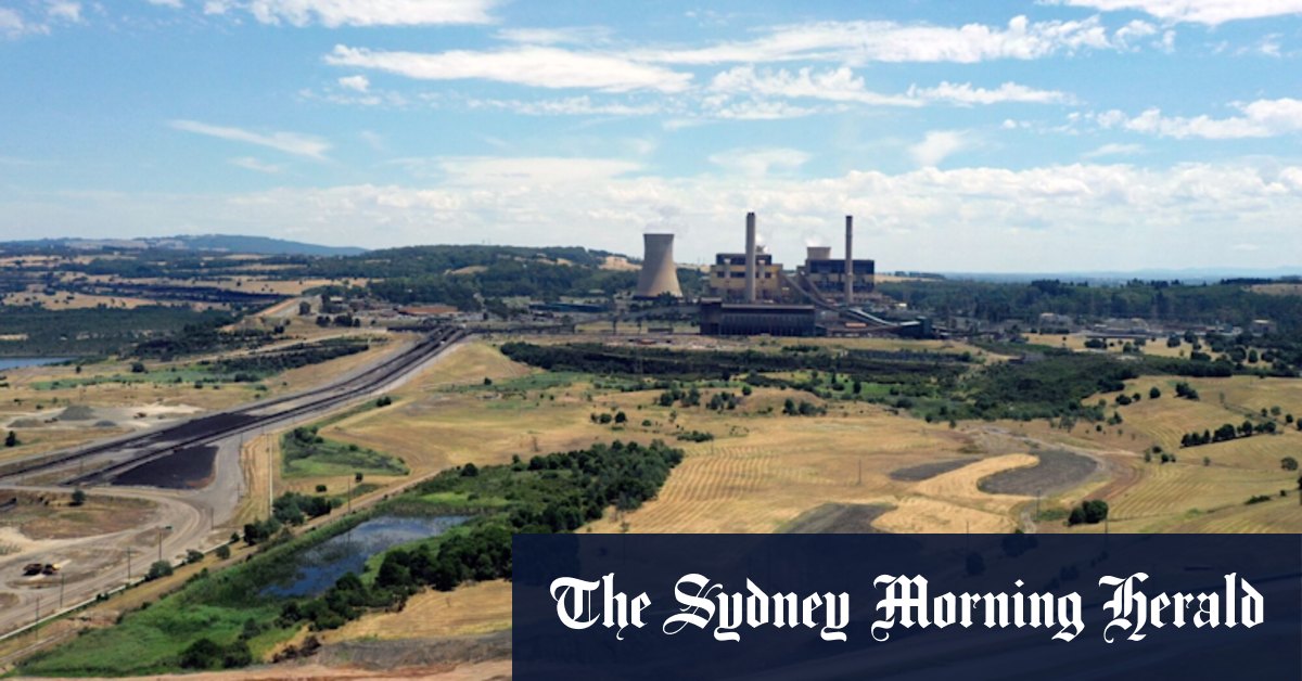 EnergyAustralia s'excuse des compensations après un procès Greenwashing