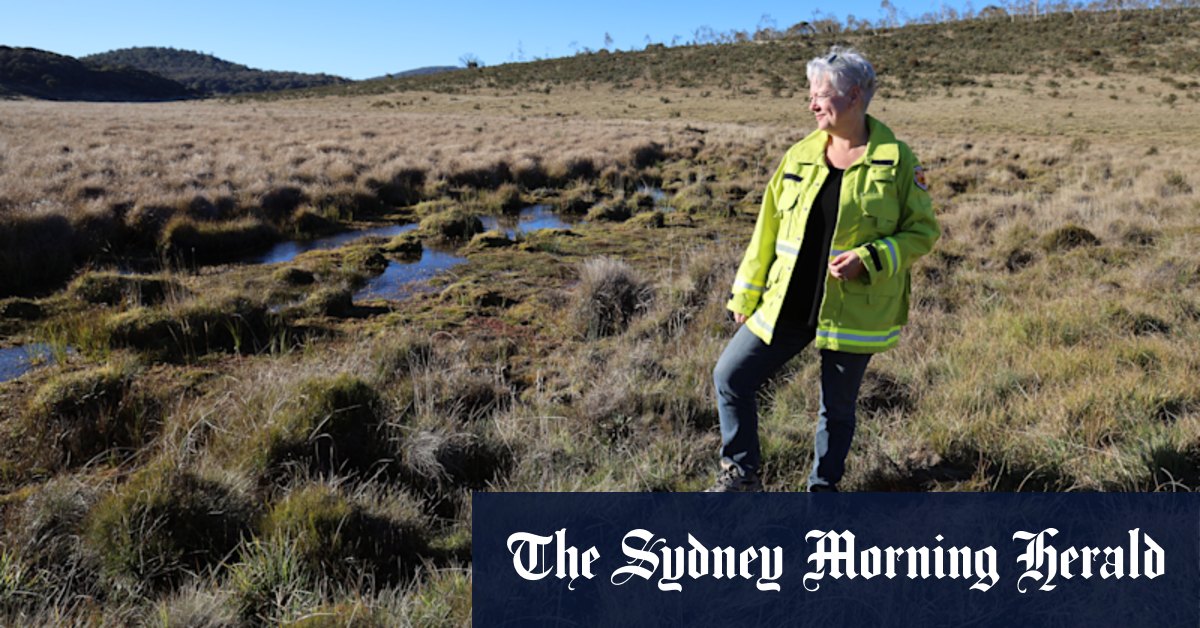 Horse Cull dans le parc national de Kosciuszko contribue à la récupération