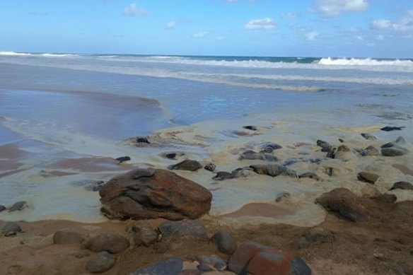 La floraison des algues à Waitpinga, provoquant une production de masse de mousse de mer.