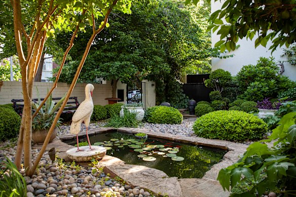 Le jardin avant d'un projet South Yarra.