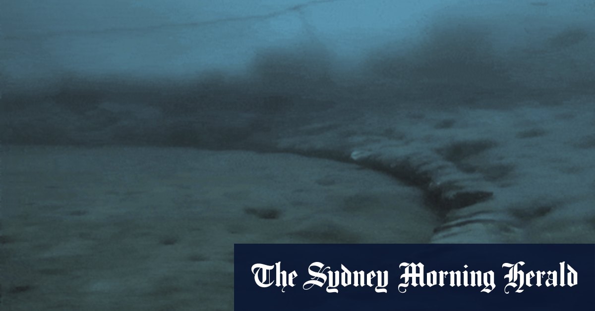 Forrest appelle à la refonte de la pêche mondiale alors que l'Australie soutient les principaux traités au sommet des Nations Unies