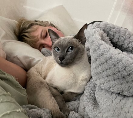 Sally Spicer avec son chat Nina pendant sa maladie. «J'ai passé trois mois profondément malades loin de tout et tout le monde.»
