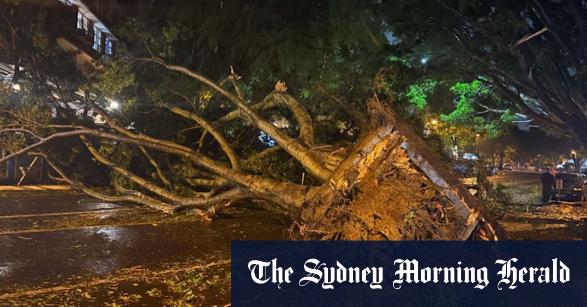 L'assurance NRMA affirme que 2025 réclamations dépassent déjà l'année dernière