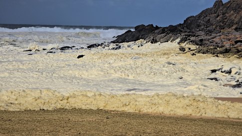 Le surfeur et photographe à temps partiel Anthony Rowland a été l'un des premiers à sonner l'alarme en mars sur la mousse de mer brune sur la côte sud-australienne, qui a ensuite été confirmée comme une floraison d'algues de masse.