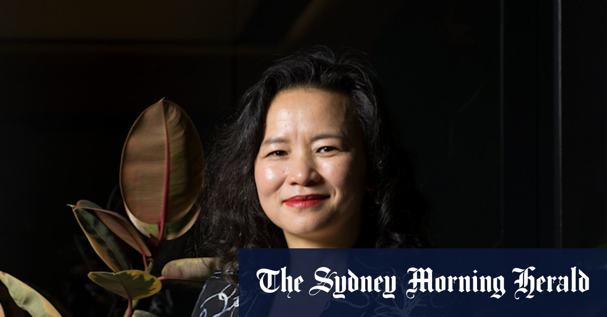 La star de la télévision qui ferait l'idéal de portable de Pékin