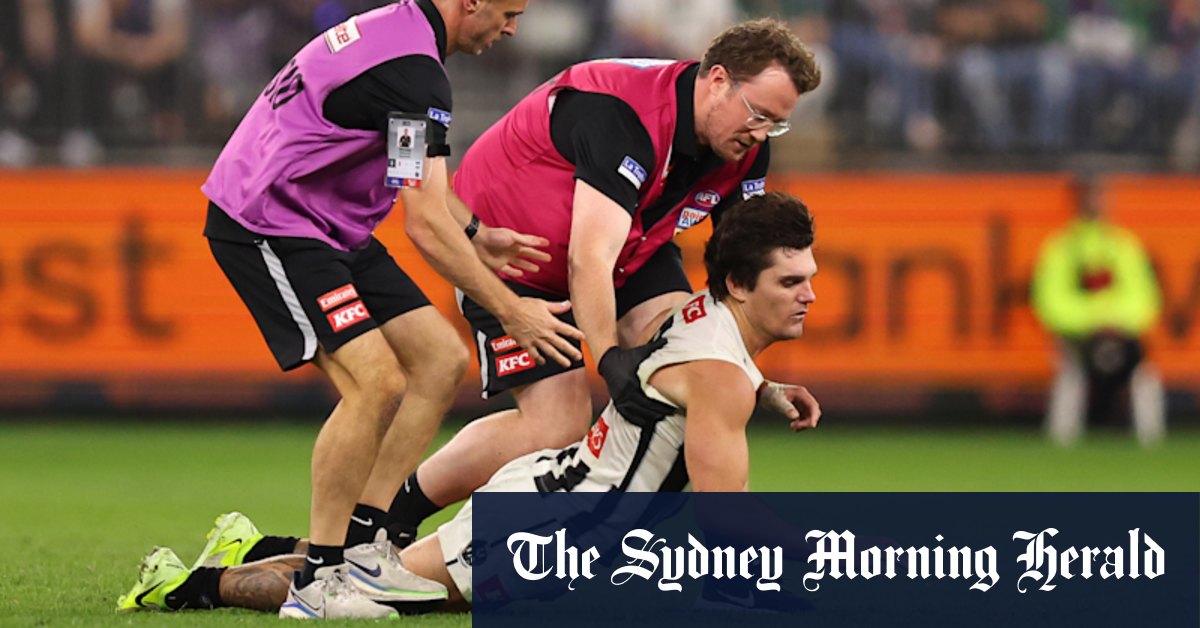 Arbitres envisageant une action en justice après la commotion cérébrale du drame de Collingwood Magpies star Lachie Schutlz