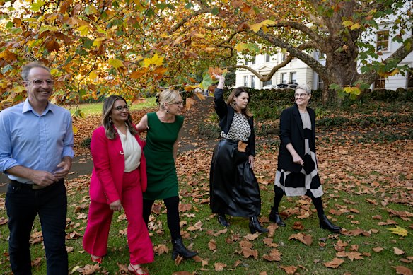 Les Verts ont élu Mehreen Faruqi en tant que chef adjoint et Larissa Waters en tant que leader. Ils sont sortis après le vote avec les sénateurs Nick McKim, Sarah Hanson-Young et Penny Allman-Payne.